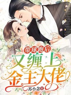 带球跑全文免费阅读无防盗