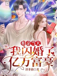 相亲当天闪婚了个亿万富翁完整版