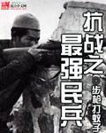 抗战之最强民兵邓成功
