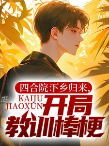 四合院开局收回棒梗的婚房