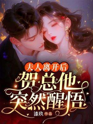 夫人已经走了