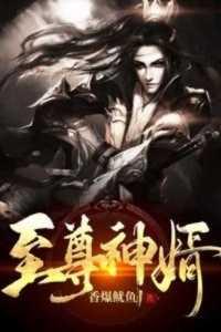 至尊神婿TXT