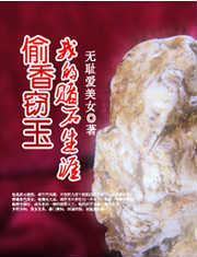 偷香窃玉:我的赌石生涯