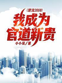 官场:逆流2008,我成为官道新贵!