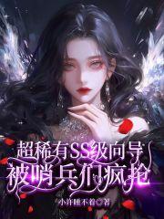 超稀有SS级向导,被哨兵疯抢