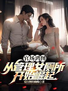 权力巅峰:从扫黄开始