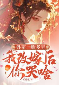 外室一胎多宝,我改嫁后你哭啥