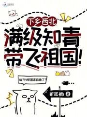 下乡西北,满级知青带飞祖国!