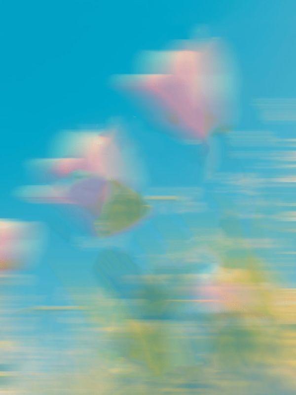 弟弟刚拿百万拆迁款,侄子炸翻八辆豪车