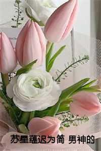 苏星蕴迟为简 男神的白月光归国后,我自动滚远了