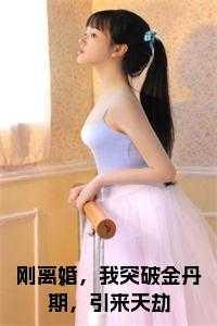 刚离婚,我突破金丹期,引来天劫小说在线