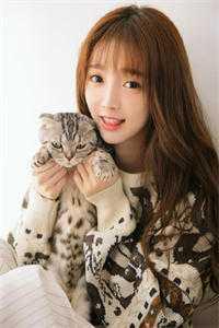 老婆是大反派怎么办,在线等,急!高质量小说