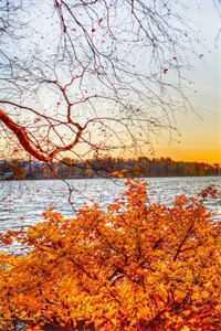 嫂嫂,我能行完整文集阅读