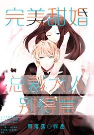 完美甜婚:总裁大人别得意