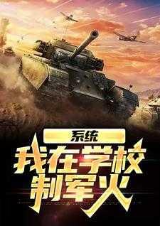 系统:我在学校制军火