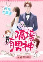 隔墙有男神:强行相爱100天