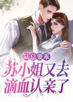 陆总要乖,苏小姐又去滴血认亲了