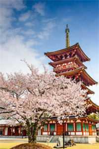 重生:舔狗首富杜绝恋爱脑完整作品阅读