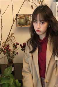 热门作品我,刑警,不小心成罪犯的终极噩梦