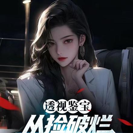 透视鉴宝:从捡破烂到赌石大佬