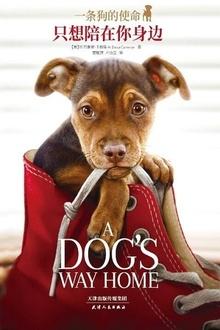 一条狗的使命:只想陪在你身边