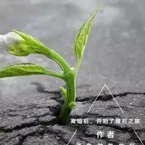 离婚后,开始了赌石之旅