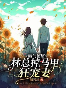 赌气领证,林总掉马甲狂宠妻