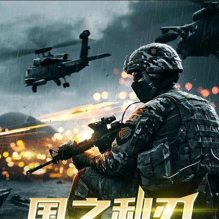 国之利刃,特战兵王