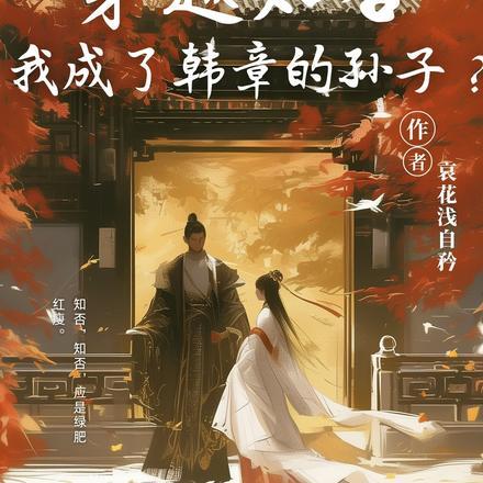 穿越知否,我成了韩章孙子?