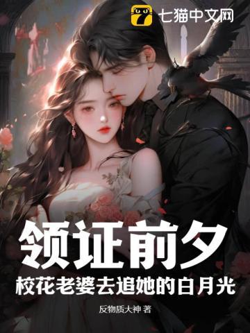 领证前夕,校花老婆去追她的白月光