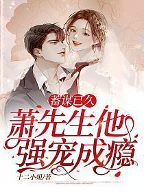 蓄谋已久,萧先生他强宠成瘾