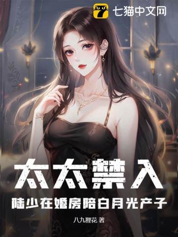 太太禁入,陆少在婚房陪白月光产子