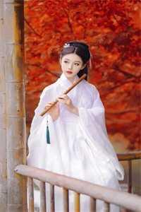 天道追着喂饭,你说他是宗门弃徒纯净无弹窗版